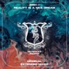 Reality is a nice Dream (Original Mix) - Josh