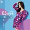 逃不开躲不过 (DJ沈念版伴奏) - 杨小曼