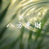 八方来财 - DJ鬼鬼于航