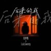 后来的我（DJ德朋版） - 张妙格&LuluSweety