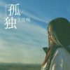孤独 (DJ何鹏版) - 王佳杨