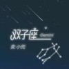 双子座 - 麦小兜