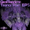 Shanghaied To Paradise (Predators Remix) - S.U.N. Project&Predators