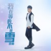 我在等的不是雪 - 梁帅