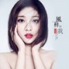 风一样的我 (伴奏) - 叶炫清