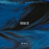 胭脂泪 - 罗永娟